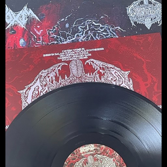 NOXIS / CAVERN WOMB Communion of Corrupted Minds LP BLACK [VINYL 12